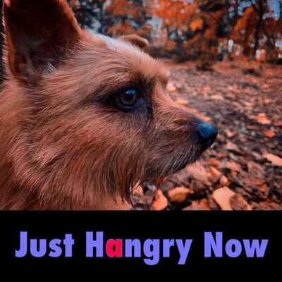 Just Hangry Now/YELL