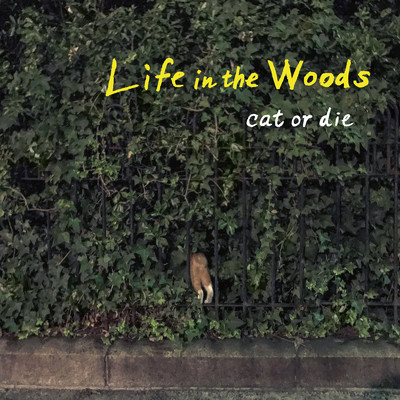 アルバム/Life in the Woods/cat or die