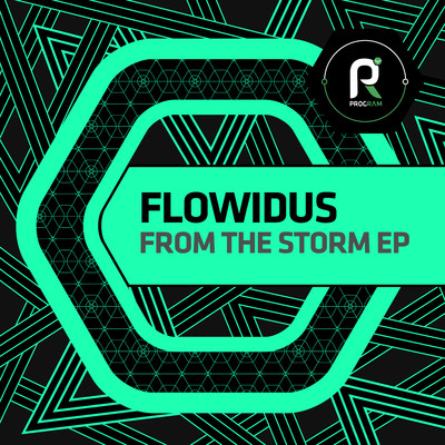 From the Storm (feat. EDDE)/Flowidus