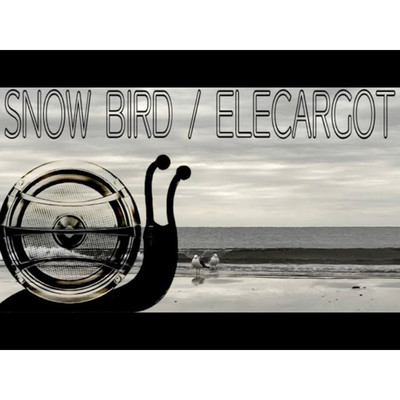 SNOW BIRD/ELECARGOT