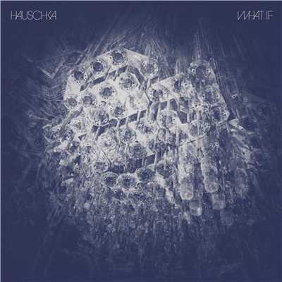 シングル/Knowledge Is Passed On (Bonus track)/Hauschka