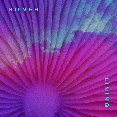 シングル/Silver Lining/New Bleach