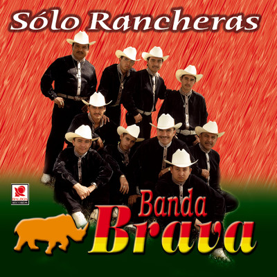 アルバム/Solo Rancheras/Banda Brava