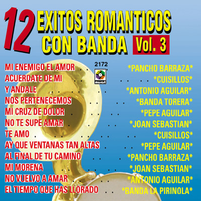 12 Exitos Romanticos Con Banda, Vol. 3/Various Artists