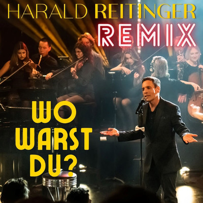 Wo warst Du (Remix) (Remix)/Harald Reitinger
