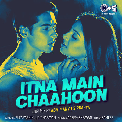 Itna Main Chaahoon (Lofi Mix)/Alka Yagnik & Udit Narayan