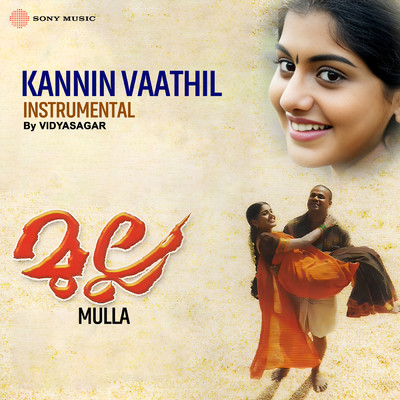 シングル/Kannin Vaathil(Instrumental)/Vidyasagar