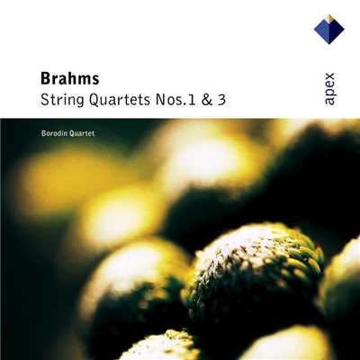 String Quartet No. 1 in C Minor, Op. 51 No. 1: I. Allegro/Borodin String Quartet