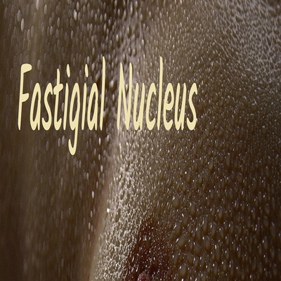 Fastigial Nucleus/Fastigial cortex