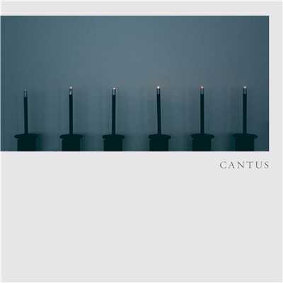 Sanctus ／ サンクトゥス (阿部海太郎)/CANTUS