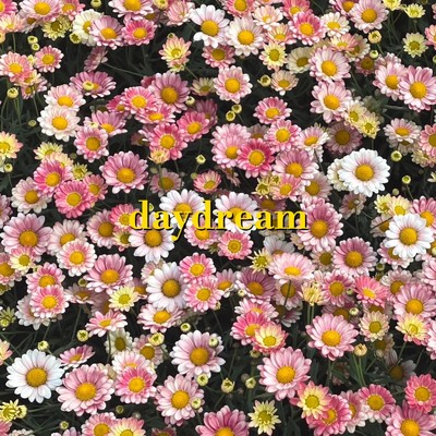 シングル/daydream/妖怪POTECHI-GOHAN