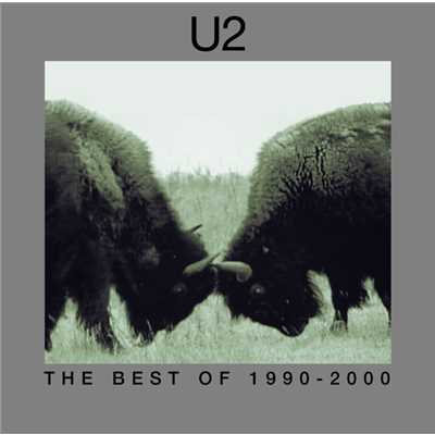夢の涯てまでも/U2