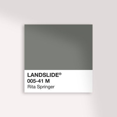 シングル/Landslide (Radio Version)/Rita Springer