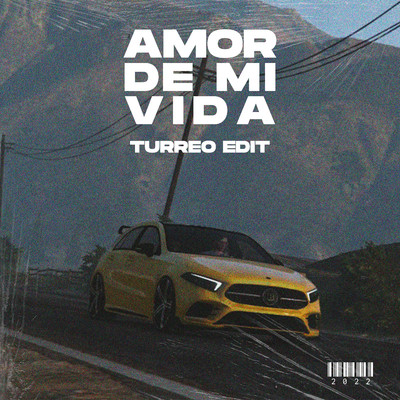 Amor De Mi Vida (Turreo Edit)/Ganzer DJ