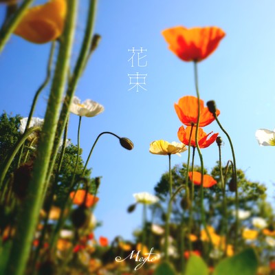 花束/Megto