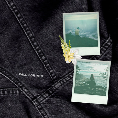 シングル/fall for you/Steve James