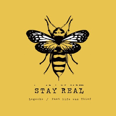 STAY REAL/Legecko