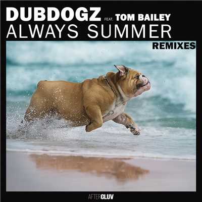 Always Summer (RADIOMATIK Remix)/Dubdogz／Tom Bailey