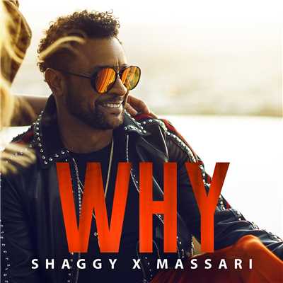シングル/Why/Shaggy & Massari
