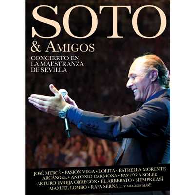 アルバム/Soto & Amigos. Concierto en la Maestranza de Sevilla/Jose Manuel Soto