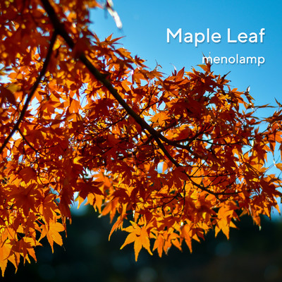 Maple Leaf/menolamp