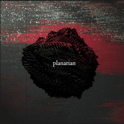 シングル/planarian/isotopolia