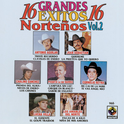 シングル/Nieves De Enero (featuring Los Amables Del Norte)/Chalino Sanchez