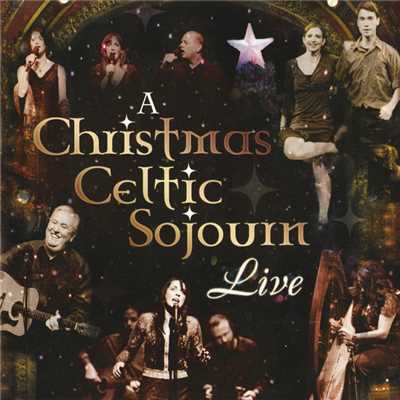 Miss Fogarty's Christmas Cake (Live)/Robbie O'Connell