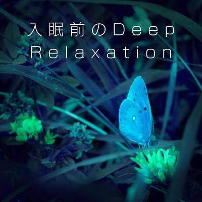 アルバム/入眠前のDeep Relaxation/Dream House