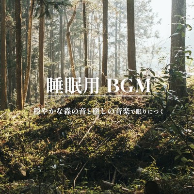 睡眠用BGM 穏やかな森の音と癒しの音楽で眠りにつく/ALL BGM CHANNEL & Sound Forest
