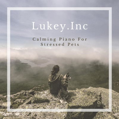 Calming Piano For Stressed Pets/Lukey.Inc