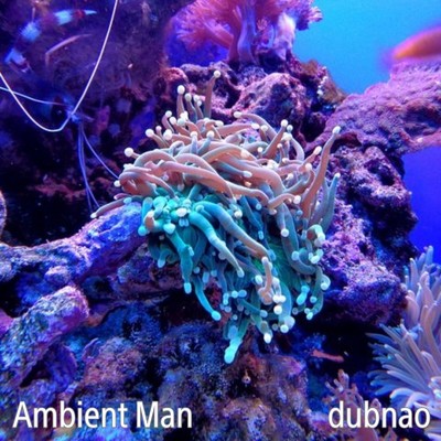 アルバム/Ambient Man/dubnao