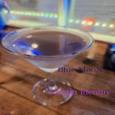 Blue MooN/Stealth Identity
