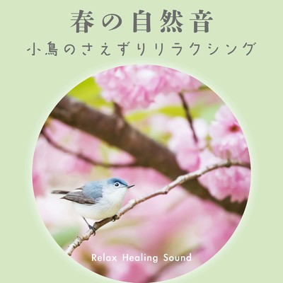 アルバム/春の自然音-小鳥のさえずりリラクシング-/リラックスヒーリングサウンド
