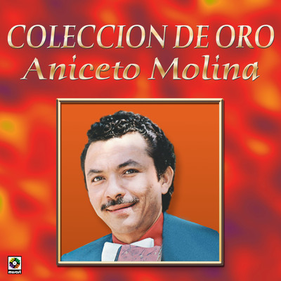 アルバム/Coleccion De Oro/Aniceto Molina