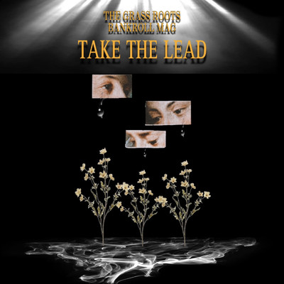 TAKE THE LEAD/THE GRASS ROOTS & BANKROLL MAG