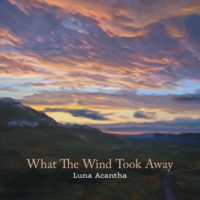 シングル/What The Wind Took Away/Luna Acantha