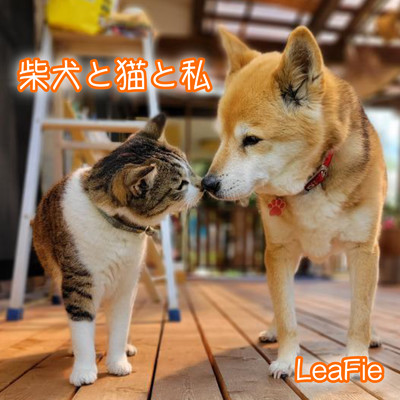 シングル/柴犬と猫と私/LeaFie