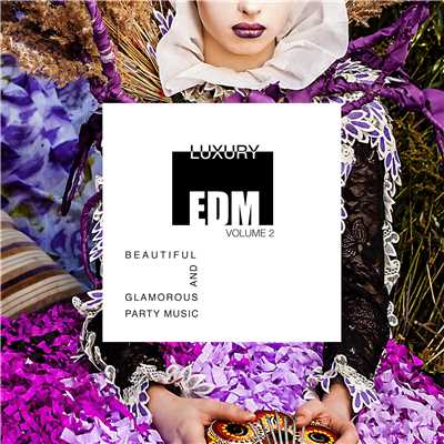 Luxury EDM Vol.2 - Beautiful & Glamorous Party Music/Various Artists