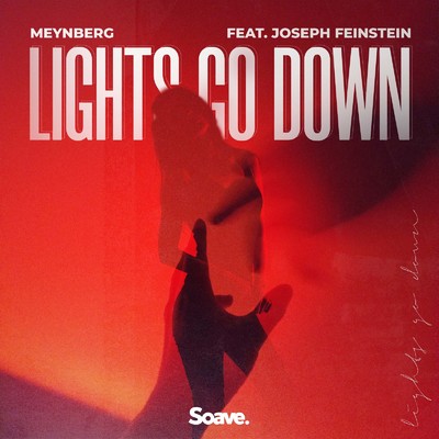 シングル/Lights Go Down (feat. Joseph Feinstein)/Meynberg