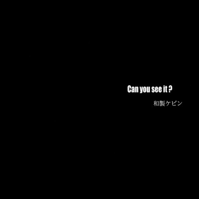 Can you see it ？/和製ケビン