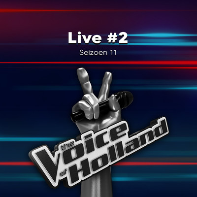 シングル/Hold On/The Voice Of Holland／Dim de Groot