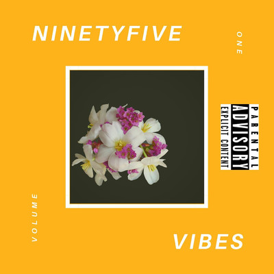 Ninety Five Vibes, Vol. 1/95 Vibes