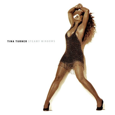 アルバム/Steamy Windows (The Singles)/Tina Turner