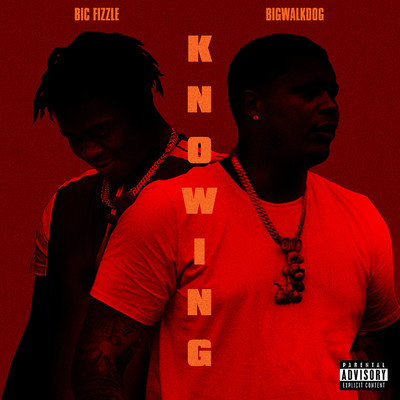 Knowing (feat. BigWalkDog)/BiC Fizzle