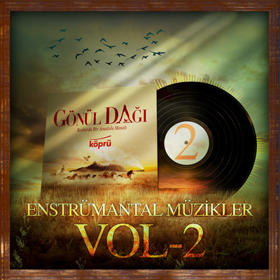 Gonul Dagi Enstrumantal Muzikler Vol 2/Sunay Ozgur & Mayki Murat Basaran & Engin Arslan