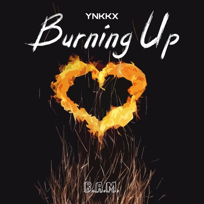 シングル/Burning Up (Extended Mix)/YNKKX