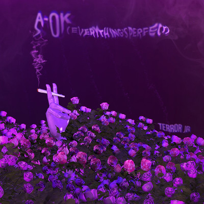 A-OK (Everything's Perfect)/Terror Jr