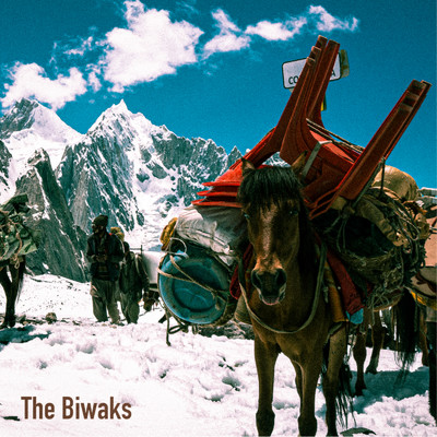 The Biwaks/The Biwaks