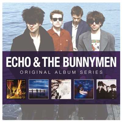 New Direction/Echo & The Bunnymen
